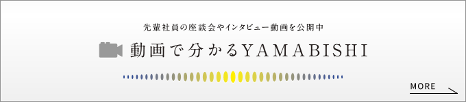 動画で分かるYAMABISHI